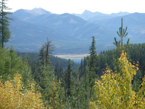 A glimpse of Swan Lake inside the Swan River National Refuge.